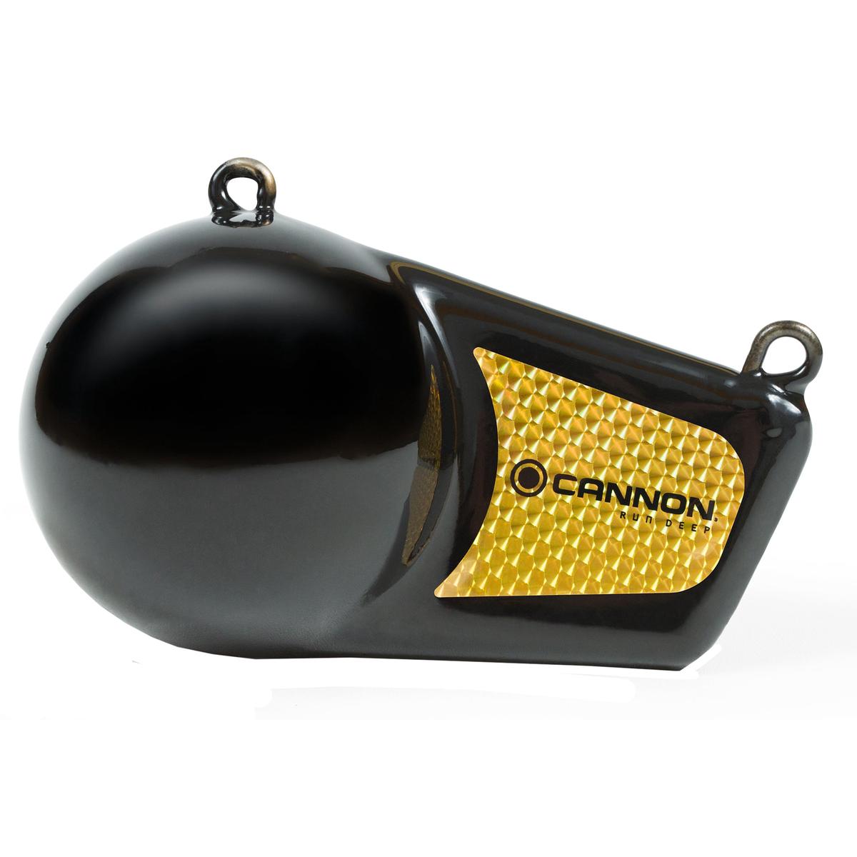 12 Pound Flash Weight